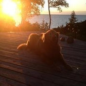 Jill Knisley's photo