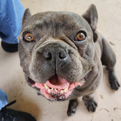 Sarah Kraus's photo