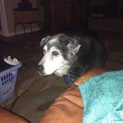 Phyllis Lankford's photo