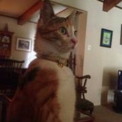 Christy Johnson's photo