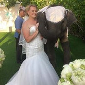 Ashleigh Brown's photo