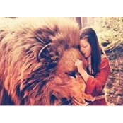 Melissa Casey's photo