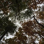 Timothy Abrams's photo