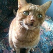 Leslie Gildart's photo