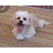 Laura Crowley's photo