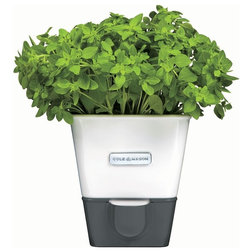 Contemporary Outdoor Pots And Planters by DKB HOUSEHOLD USA CORP