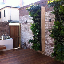 living wall garden