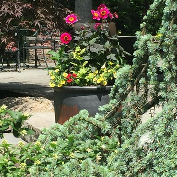 Container Gardens