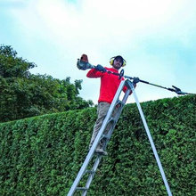 Landscape Maintenance and Gardening Services
