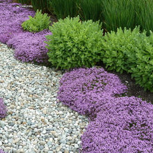 Landscape Ideas