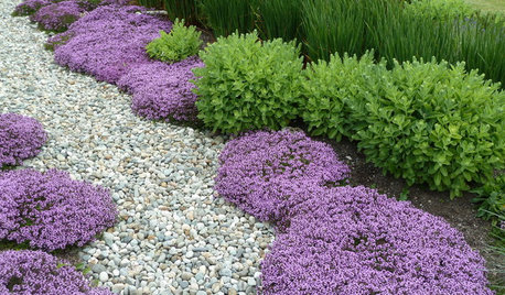 Kiesgarten anlegen – Ideen, Aufbau und Gestaltungsvarianten
