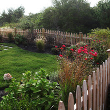 Landscape Ideas