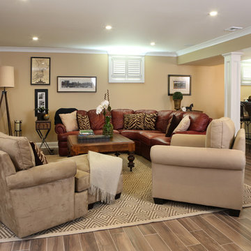 Basement Family Room