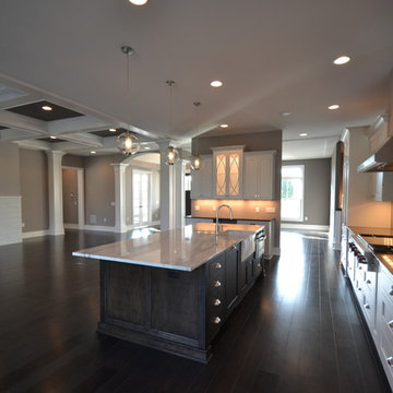 Large Contemporary Ranch in Fishers