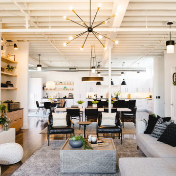 Scandinavian Modern Loft