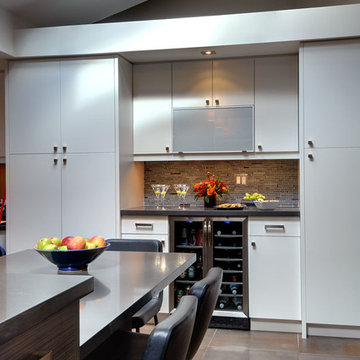 Ultra Modern Kitchen