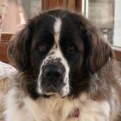 Jo Feinberg-Reisman's photo