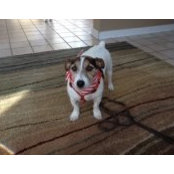 Patricia Bucsi's photo
