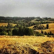 Galit Kovalsky's photo
