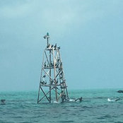 Luis Dominguez's photo
