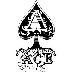 Ace Landscaping & Construction LLC