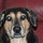 patti_couling