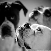 Foto von Sandy Morawski