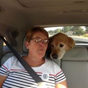 Joan Wickstrom's photo