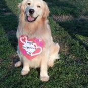 Vicki Combs-Novak's photo