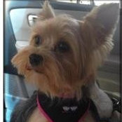 Krista Urich's photo