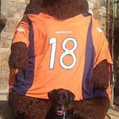 Scott Lindblom's photo