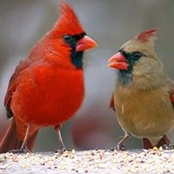 Barry Wyner's photo