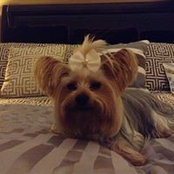 Annette Zinante's photo
