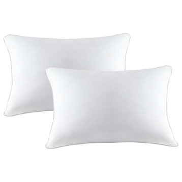 A1HC Throw Pillow Insert, Down Feather Filled, Set of 2, 12"x20"