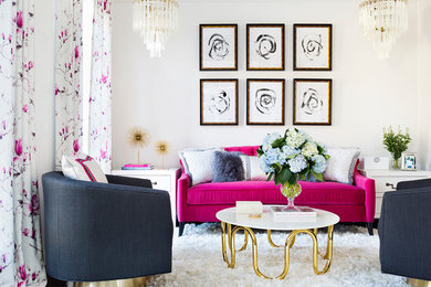 Example of a living room design in DC Metro