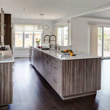 Contemporary Kitchen in Northbrook