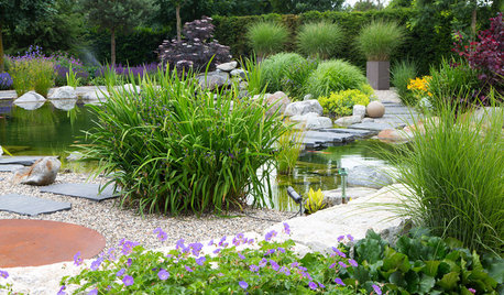 Gartenteich anlegen: Tipps für die Bepflanzung & Gestaltung