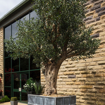 Capital Garden Planters