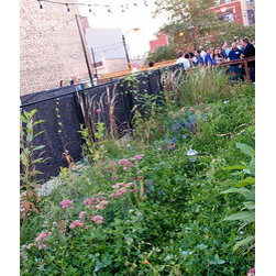 Omni Green Roof - Products