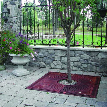 Chelsea Tree Grate at a Private Residence in Lansing, Michigan, USA
