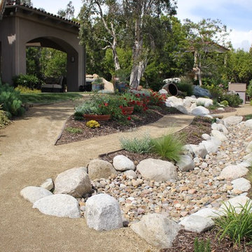 Del Mar Turf Removal & Water Wise Landscape