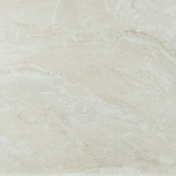 MSI N2424-N Pietra - 24" x 24" Square Floor and Wall Tile - Matte - Onyx Ivory