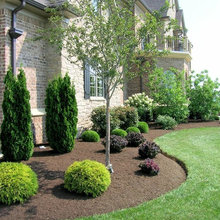 Landscape Ideas
