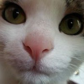 Kelly Lowery's photo