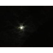Veronica Guillot's photo