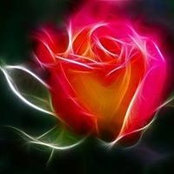 Laura Rush's photo
