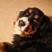 Diane Flem's photo