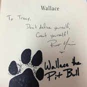 Tracy Werner's photo