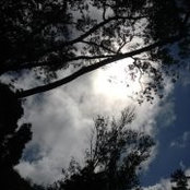 Famey Mohamed's photo