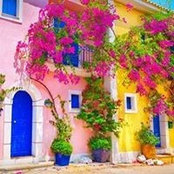 Foto von Hajar El Ouali